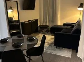 Modern apartment, 1km from city!