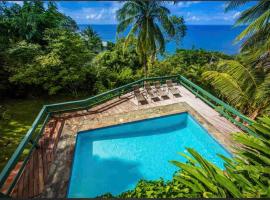 Amazing mountain top villa，位于Marigot的酒店