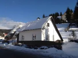 Holiday home Nove Hamry/Erzgebirge 1646