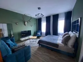 3 Zimmer Apartment mitten in Altstadt - Koblenz