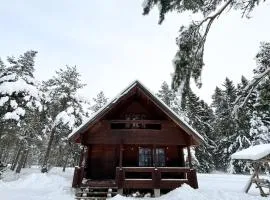 Männiliiva puhkemaja