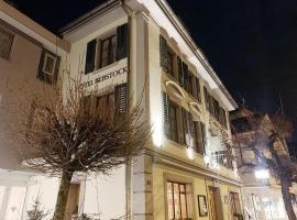 Hotel Rebstock Meiringen，位于迈林根的酒店