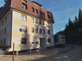 Apartman Mila Vla&scaron;ić，位于&Scaron;i&scaron;ava的宠物友好酒店