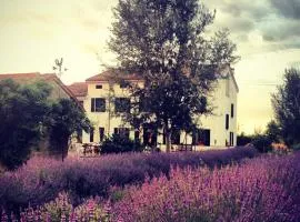 Agriturismo Viridarium