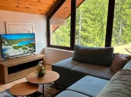 Pamporovo Rhodopi Pearl Apartments - Private Apartments