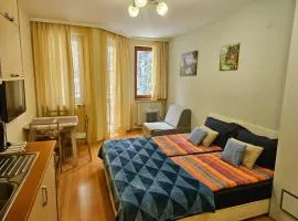 Borovets Villa Park studio