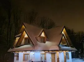 Toporowe Izby