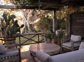 Le Viti Barn