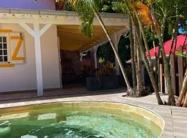 Villa KER IGUANE Terre de Haut Les saintes