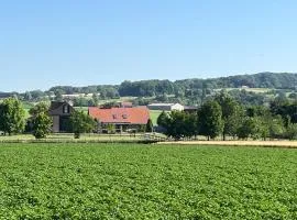 Vakantiewoning - Ter Douve