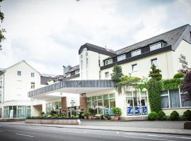 杜特斯赫尔酒店，位于特里尔的酒店