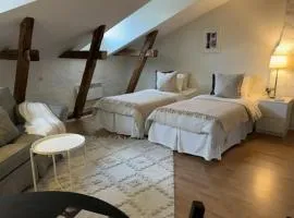 Charming Apartment in Stockholm City 913