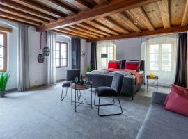 BARONHAUS Aparthotel & Suites，位于帕绍的酒店