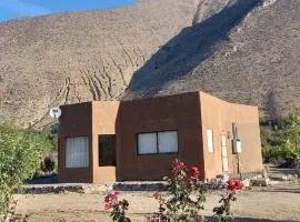 VALLE DEL ELQUI,Diaguitas, Vicuña