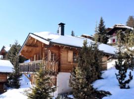 Verbier: Chalet avec vue magnifique，位于韦尔比耶的酒店