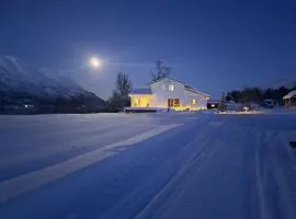 Mountainside Lodge - Breivikeidet