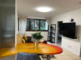 Apartmenthaus Reulandstrasse 16