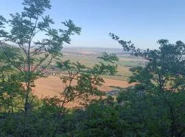 Ferienhaus Waldperle Harzblick