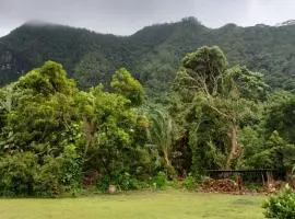 Ravehei smile relais 2 moorea