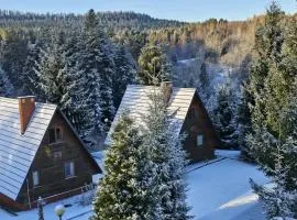 Domki Bieszczady Siedlisko Harenda