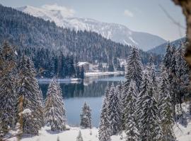 Arabella Alpenhotel am Spitzingsee, a Tribute Portfolio Hotel，位于史毕辛吉的酒店