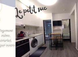 Le Petit Suc du Puy En Velay , Hyper centre ,calme ,Parking proche，位于勒布伊的公寓