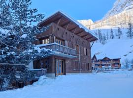 Alpina Lodge Chalet By Valdiski，位于瓦勒迪泽尔的木屋