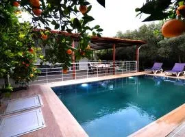 Avci Villa-Fethiye 3+1 in Garden with Private Pool, 10 minutes to the beach