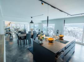 Visionary Hospitality - Big Premium Loft with View, Washer, Parking, Kitchen, Tub，位于Dierikon的低价酒店