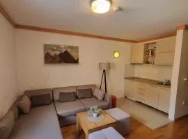 Apartment U345 - Aparthotel Vučko Jahorina - private host