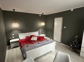 Luxury Apartment，位于托普利察的家庭/亲子酒店