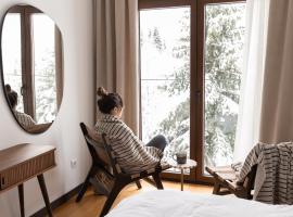 Glečer Kop, Cozy design apartment A5, FREE Parking Garage，位于科帕奥尼克的豪华型酒店