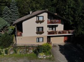 Pension Hintergarten，位于Oberzeiring的酒店