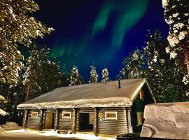 Levillenet Bearlodge at Levi city centre，位于列维的木屋