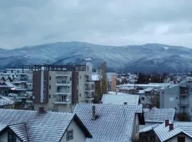 GREY Apartment Vrnjačka Banja