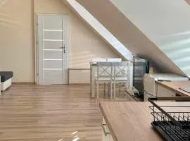 Apartament Borowik