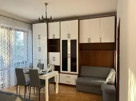 Apartament Ludźmierska Nowy Targ