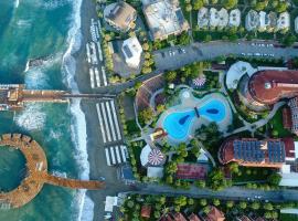 Palmeras Beach Hotel Ultra All Inclusive，位于科纳克勒的酒店