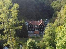 Waldhaus Wolfsbachmühle，位于霍盖思的酒店