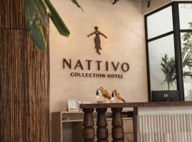 Nattivo Collection Hotel，位于圣安德烈斯的酒店