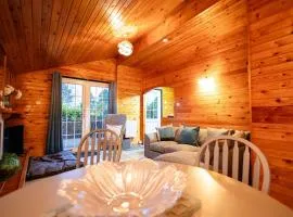 Rural Log Cabin in Snowdonia near Coed y Brenin by Seren Short Stays