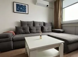 Elegant Escape apartment III - free parking, easy access to City Center