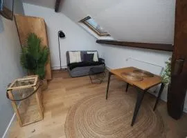 Appartement meublé 5 - 15 min Dampierre - 25 min Belleville - WIFI