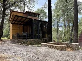 Hermosa Cabaña Inmersa en el Bosque de Tapalpa