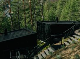 Tara Cabins Pure Nature，位于Zaovine的酒店