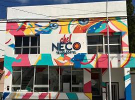 Che Neco，位于内科切阿内科切阿机场 - NEC附近的酒店