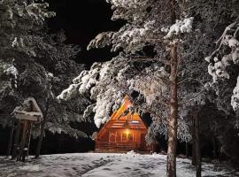 Cozy Forest Hut near Sarajevo，位于帕莱的木屋
