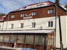 Hotel Schwarz，位于Nové Hamry的酒店