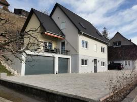 Alpenblick Ferienwohnung und Monteurzimmer，位于Oberbuchsiten的民宿