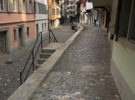 Bedroom cum office with shared shower in Zug's Old Town，位于楚格的酒店